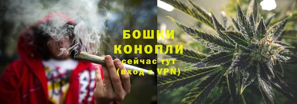 молекула духа Белокуриха